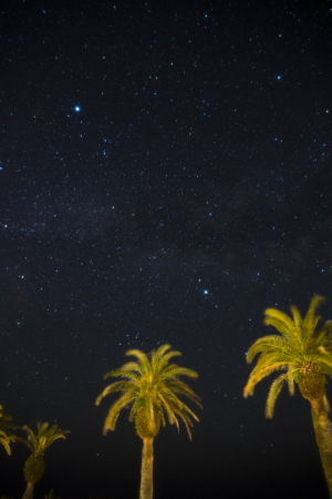 フェニクスと星空