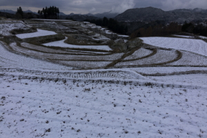 下福良の棚田