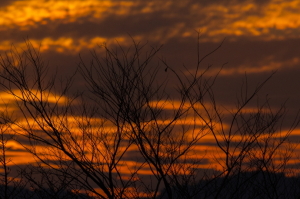 夕暮