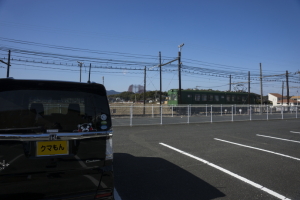 青ガエル